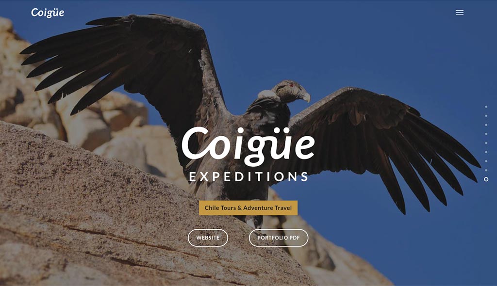 coigue-desarrollo-web-01