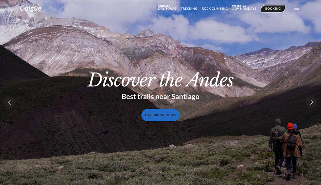 coigue-desarrollo-web-02