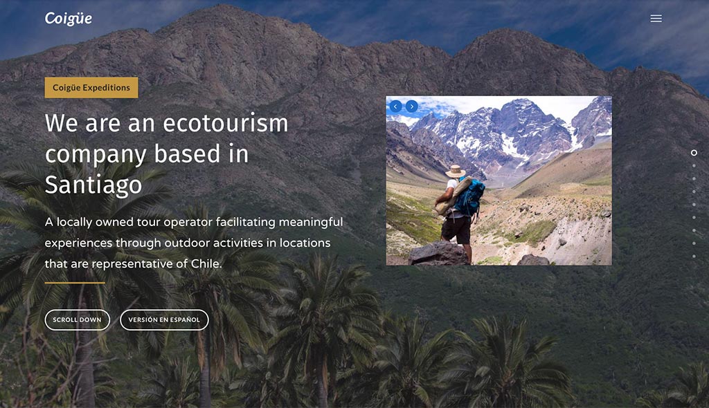 coigue-desarrollo-web-04
