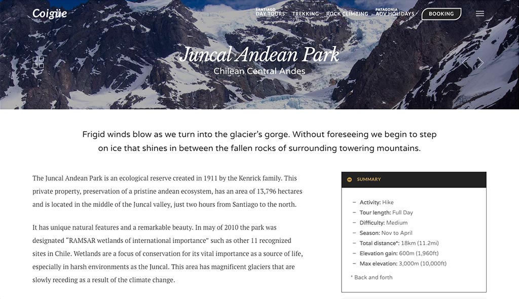 coigue-desarrollo-web-06