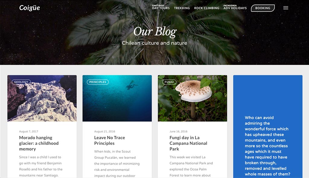 coigue-desarrollo-web-08