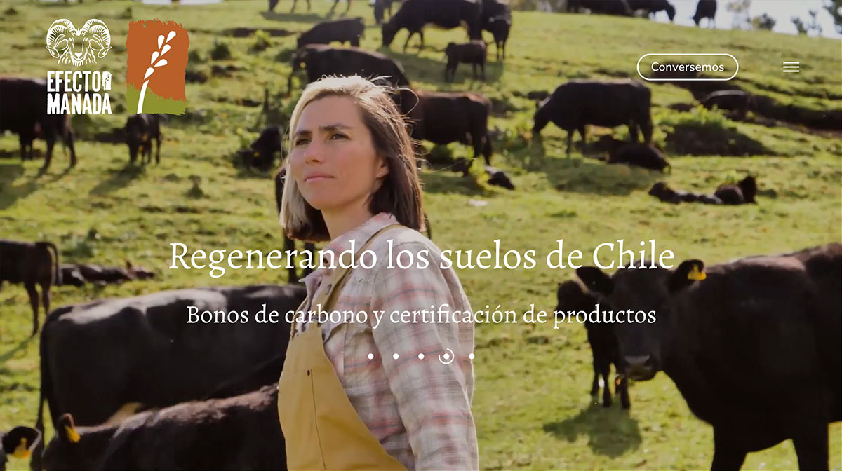 Página web Efecto Manada.