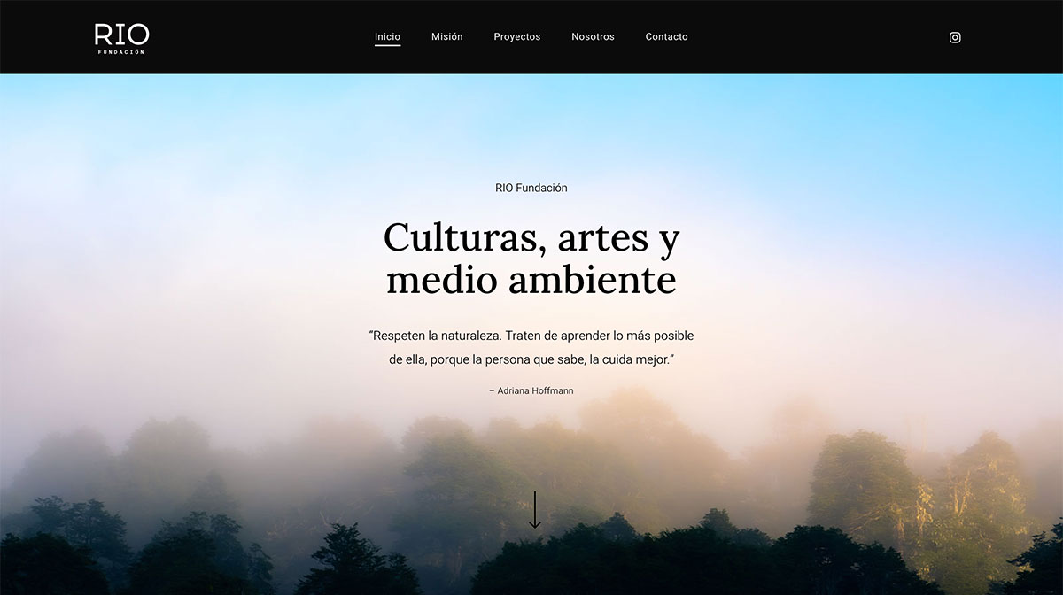 Página web RIO Fundación