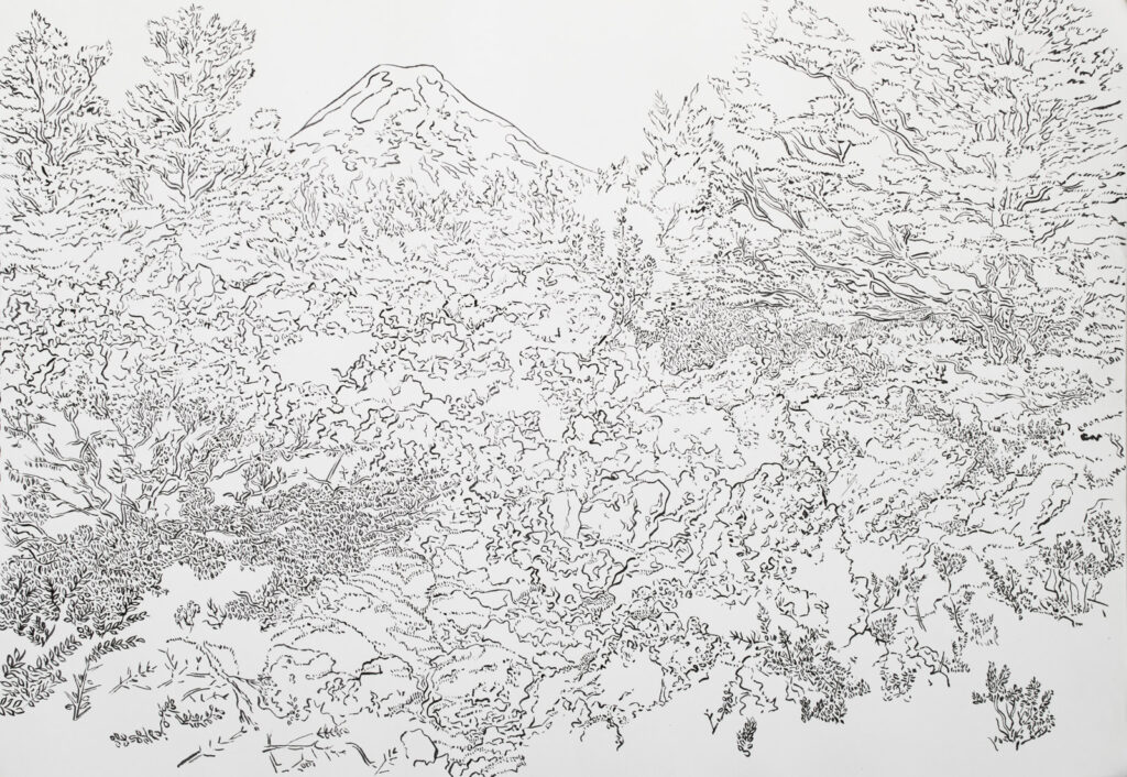 dibujo, pucón en trazos, tinta china