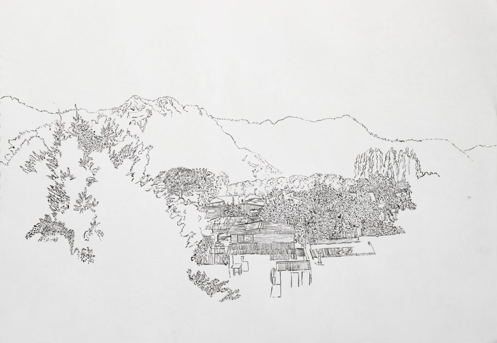 dibujo, pucón en trazos, tinta china