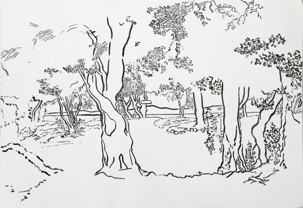 dibujo, pucón en trazos, tinta china