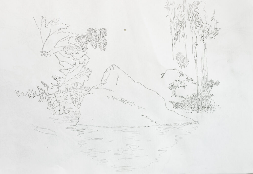 dibujo, pucón en trazos, tinta china