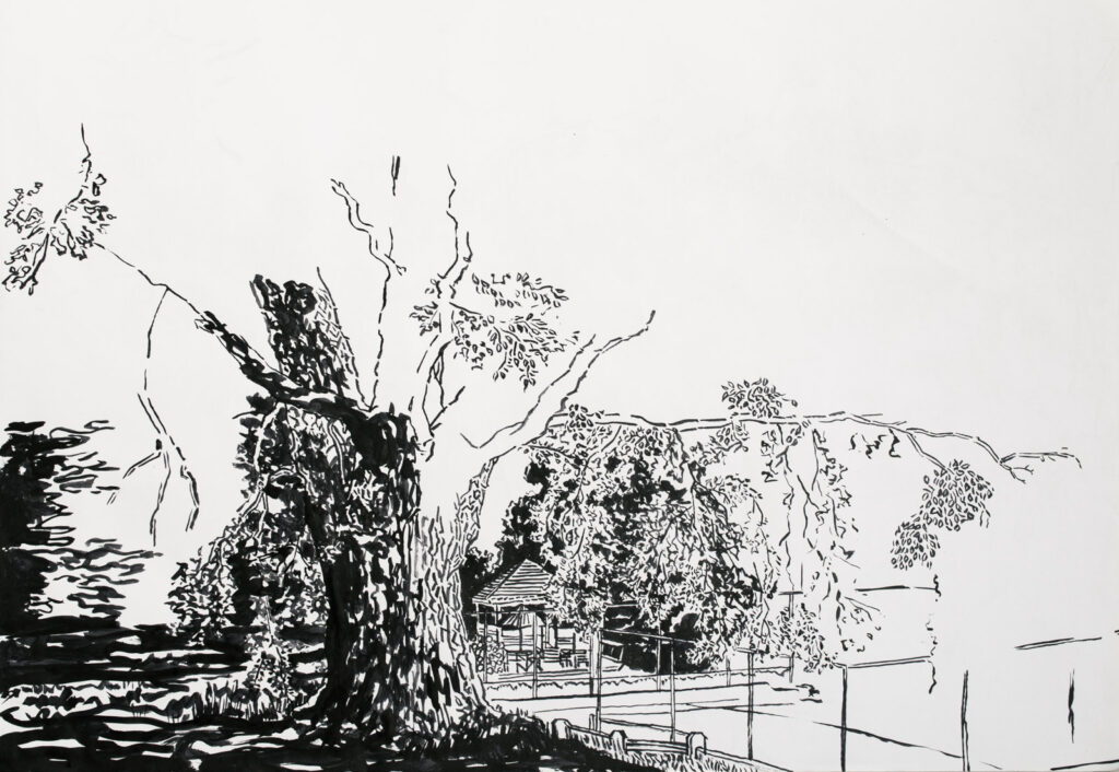 dibujo, pucón en trazos, tinta china