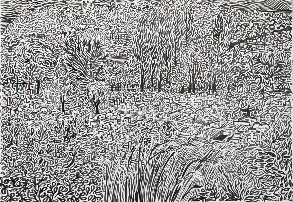 dibujo, pucón en trazos, tinta china