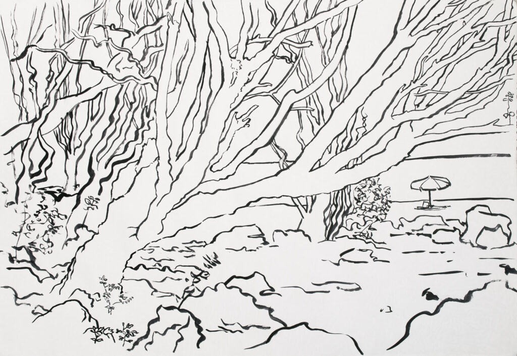 dibujo, pucón en trazos, tinta china