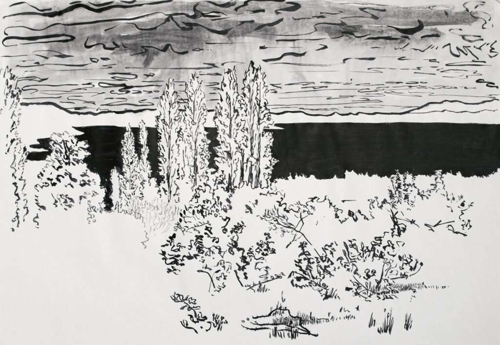 dibujo, pucón en trazos, tinta china