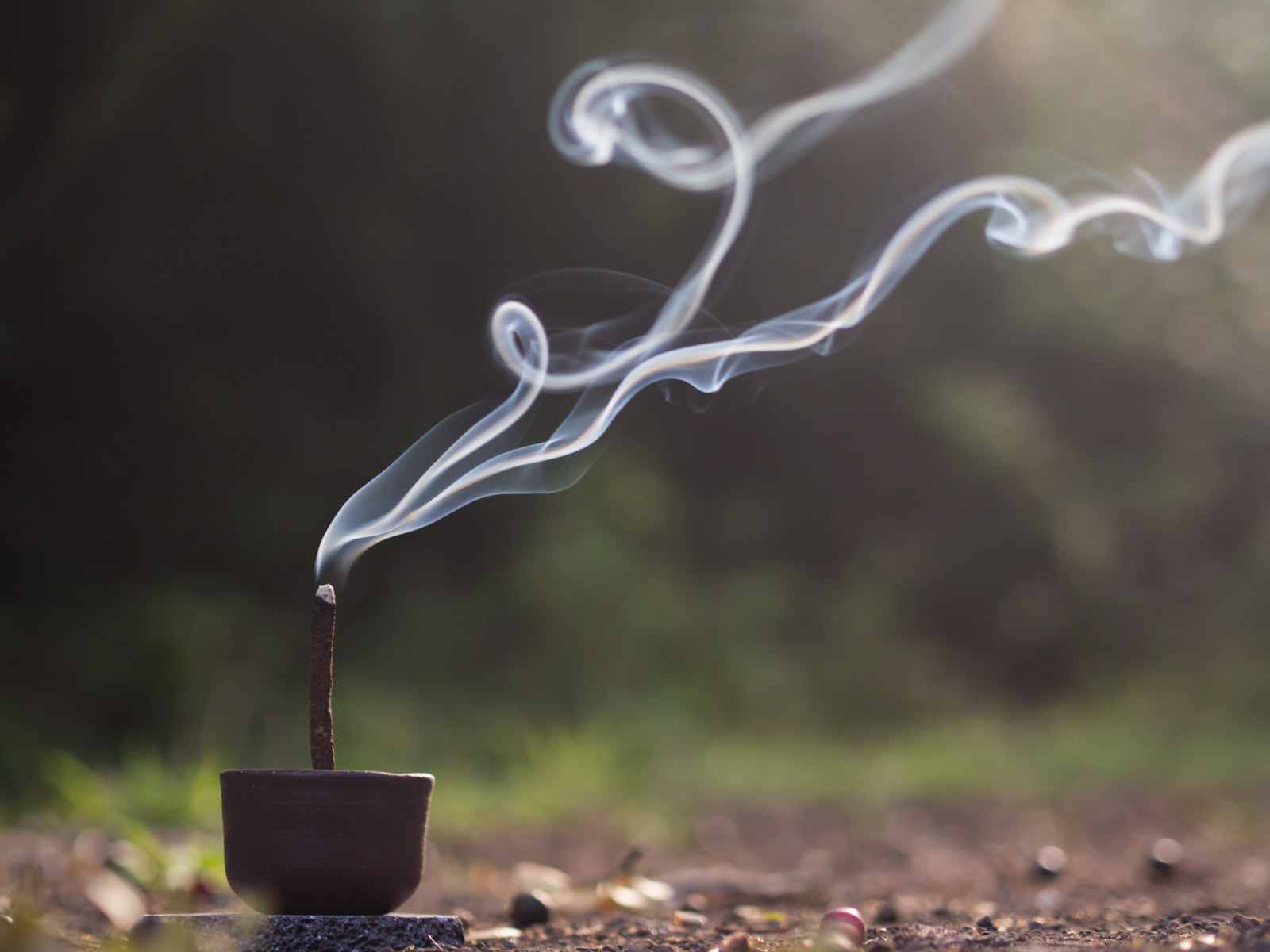 Fotografía de productos Umo Recolector