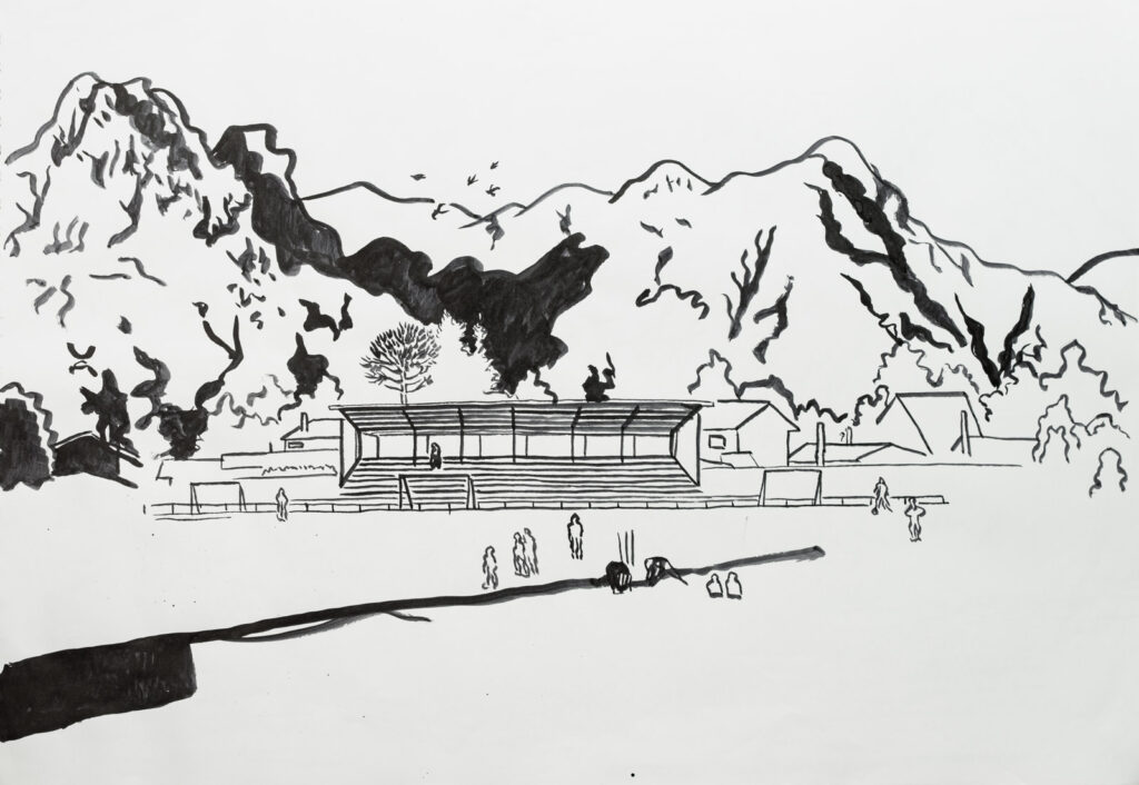 dibujo, pucón en trazos, tinta china