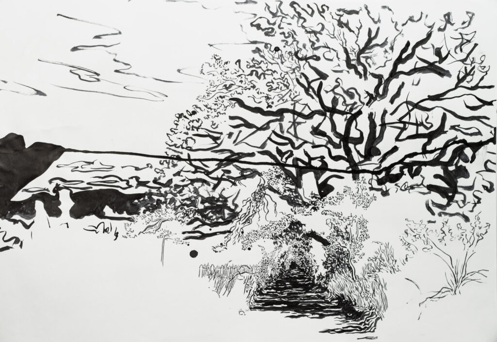 dibujo, pucón en trazos, tinta china