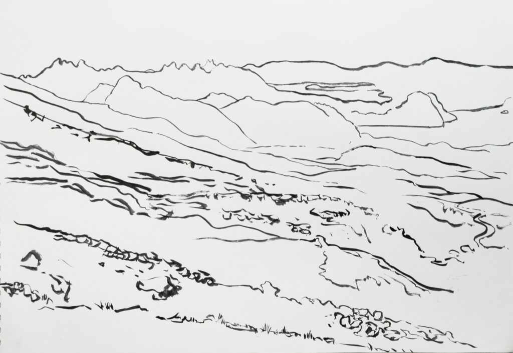 dibujo, pucón en trazos, tinta china