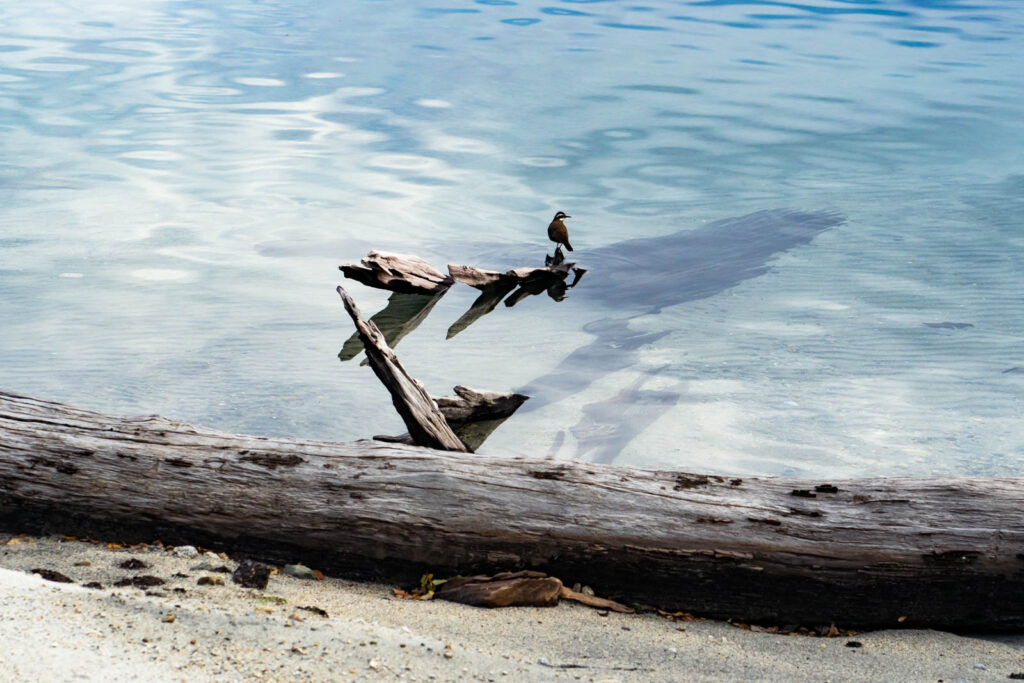 agua, araucania, espejo de agua, liquid, liquido, water