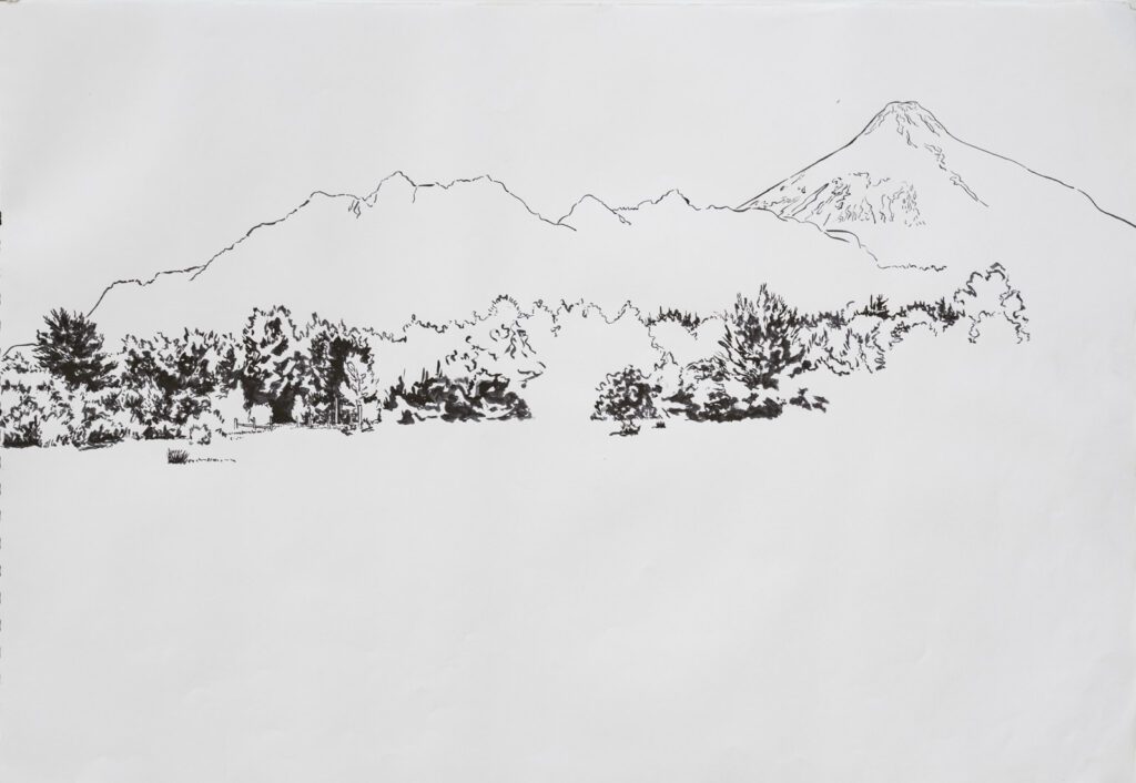 dibujo, pucón en trazos, tinta china