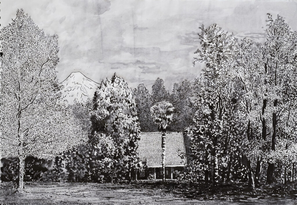 dibujo, pucón en trazos, tinta china