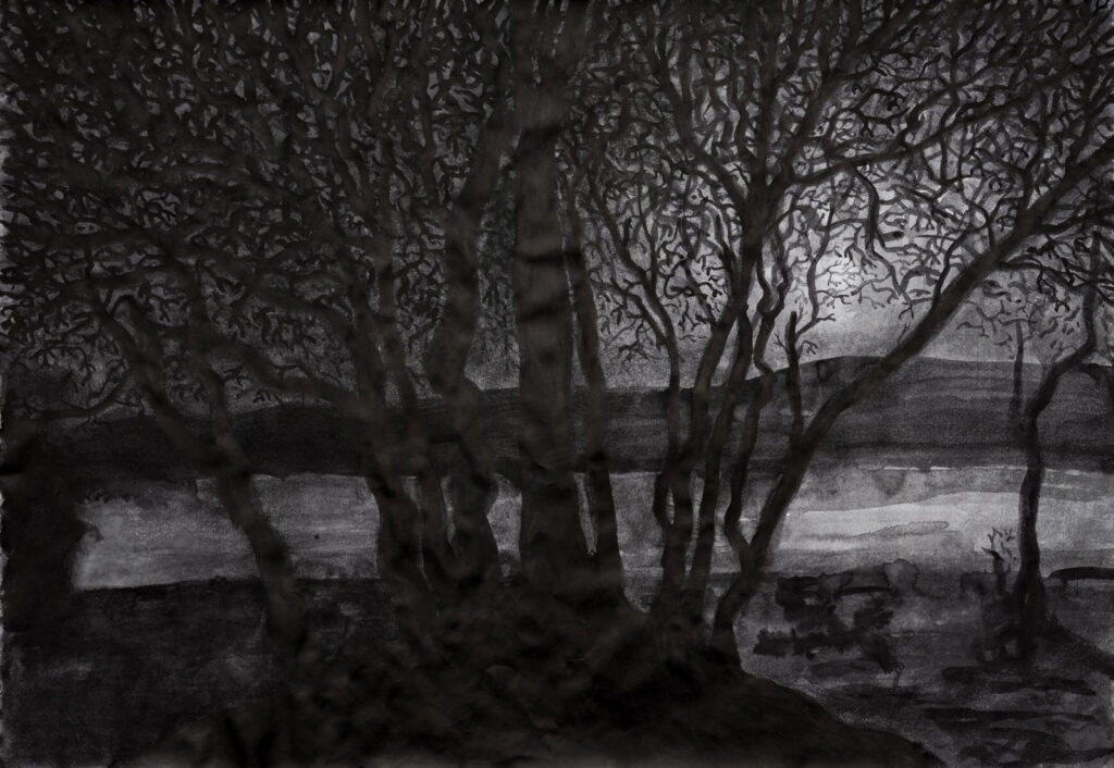 dibujo, pucón en trazos, tinta china