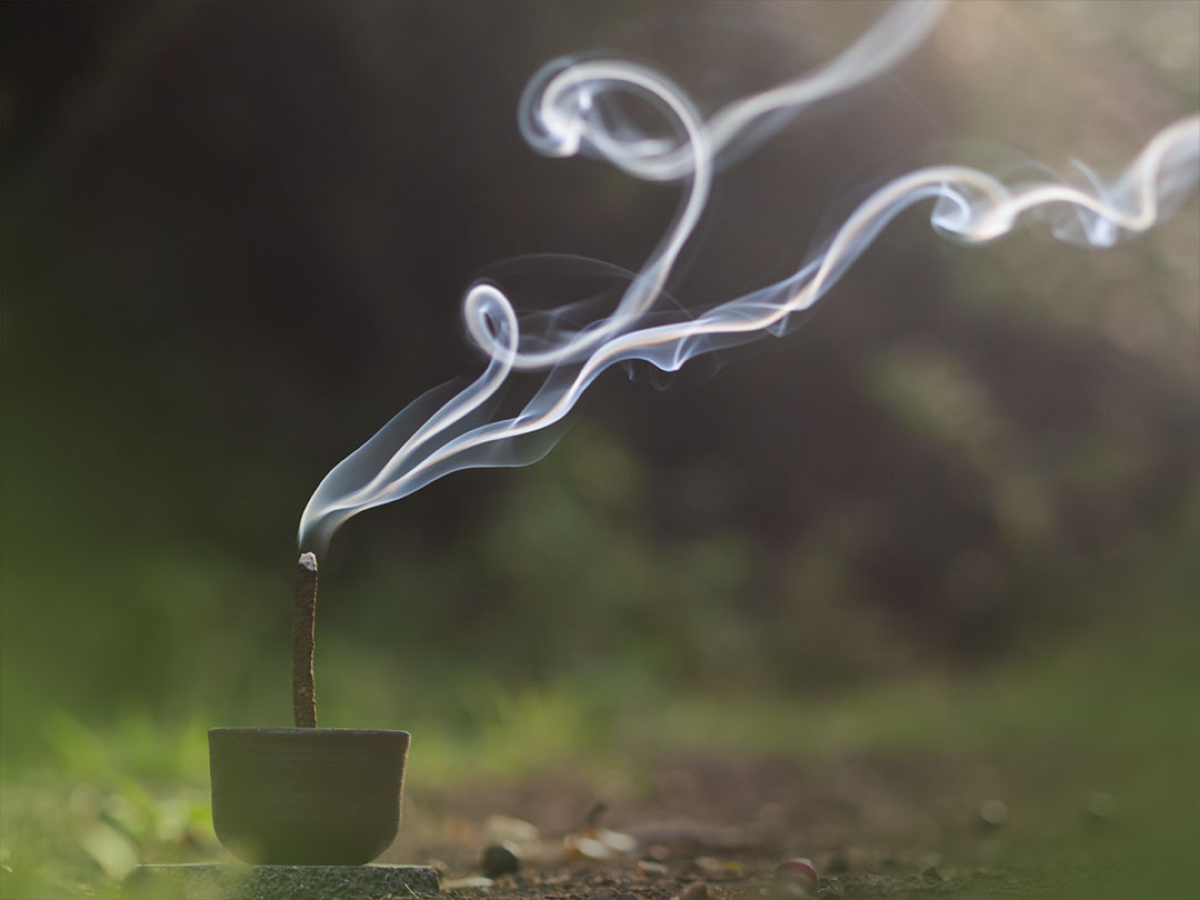 Fotografía de productos: Umo Recolector.