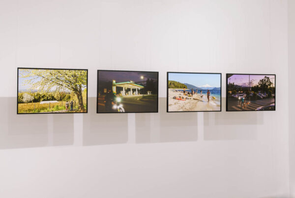 36 vistas del volcán villarrica, Centro Cultural Municipal de Villarrica, Liquen, arte, exposición de fotografía, fotografía, villarrica