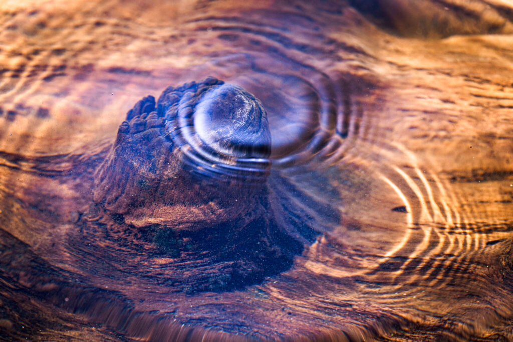 agua, araucania, espejo de agua, liquid, liquido, water